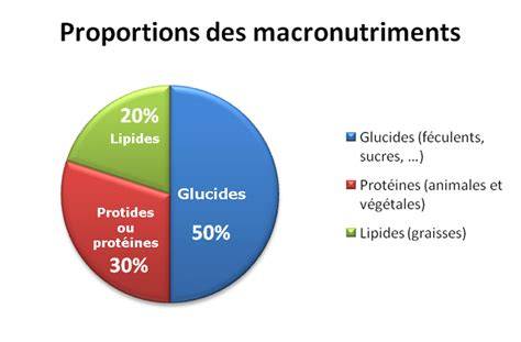 Illustration: diagramme des composants typiques d’un yogourt grec et leur répartition (protéines, lipides, glucides)