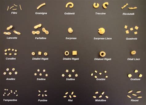 Assortiment de pâtes conchiglie de différentes tailles
