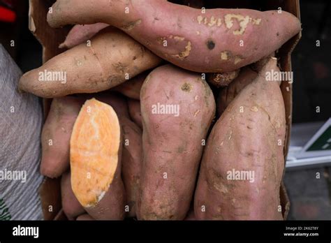 Patates douces fraîches sur un marché