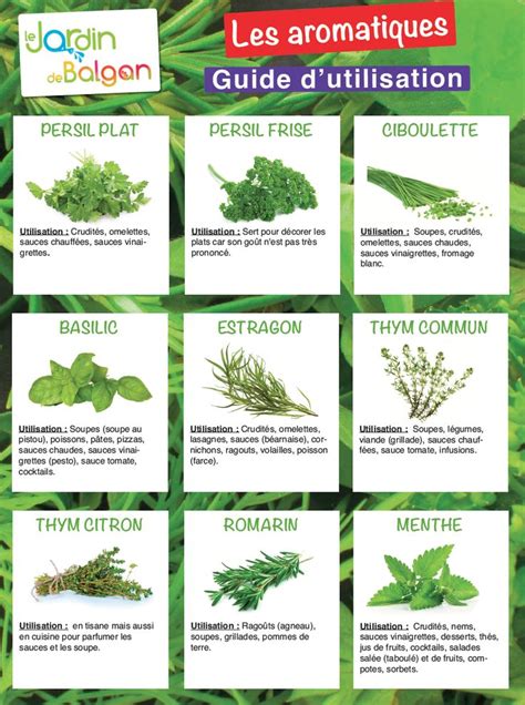 Tableau: Origines et profils aromatiques des Grands Crus