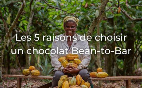 Infographie: caractéristiques clés du chocolat bean-to-bar et labels