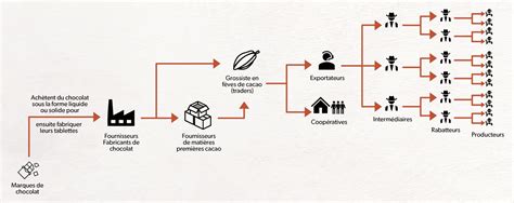 Schéma illustrant la répartition de l'activité de MÉON